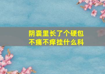 阴囊里长了个硬包不痛不痒挂什么科