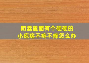 阴囊里面有个硬硬的小疙瘩不疼不痒怎么办