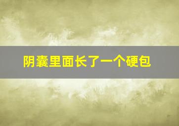 阴囊里面长了一个硬包