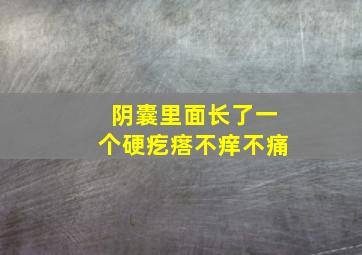 阴囊里面长了一个硬疙瘩不痒不痛