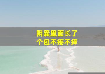 阴囊里面长了个包不疼不痒