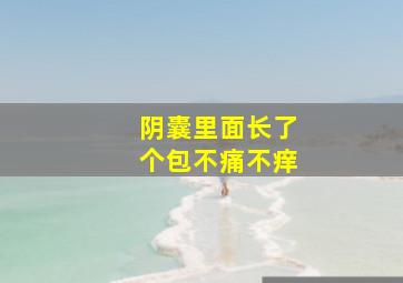 阴囊里面长了个包不痛不痒