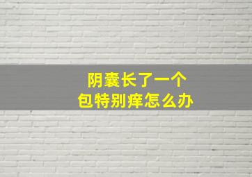 阴囊长了一个包特别痒怎么办