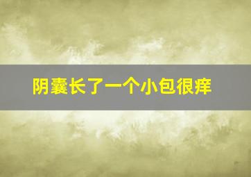 阴囊长了一个小包很痒