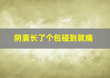 阴囊长了个包碰到就痛