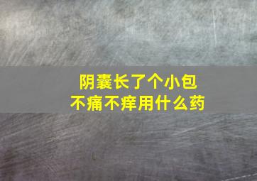 阴囊长了个小包不痛不痒用什么药