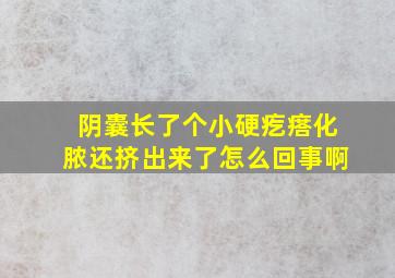 阴囊长了个小硬疙瘩化脓还挤出来了怎么回事啊