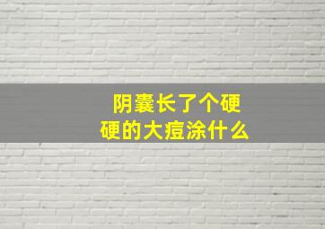 阴囊长了个硬硬的大痘涂什么