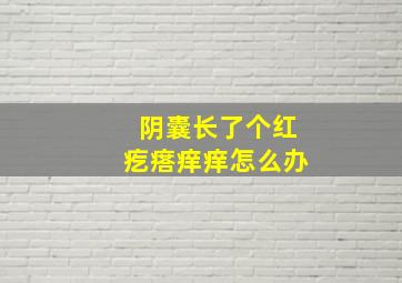 阴囊长了个红疙瘩痒痒怎么办