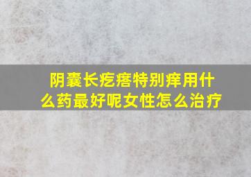 阴囊长疙瘩特别痒用什么药最好呢女性怎么治疗