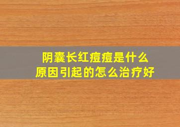 阴囊长红痘痘是什么原因引起的怎么治疗好