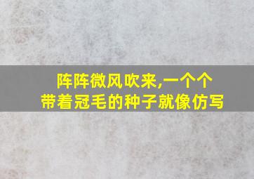 阵阵微风吹来,一个个带着冠毛的种子就像仿写