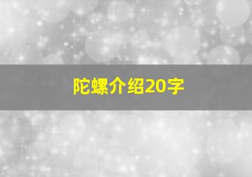 陀螺介绍20字