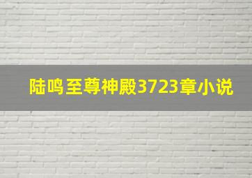 陆鸣至尊神殿3723章小说