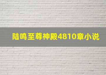 陆鸣至尊神殿4810章小说