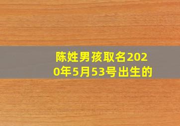 陈姓男孩取名2020年5月53号出生的