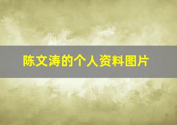 陈文涛的个人资料图片