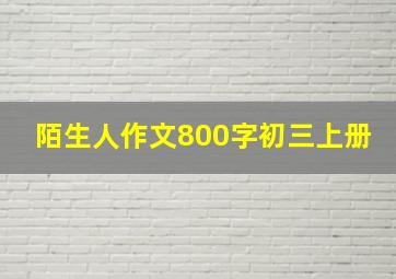 陌生人作文800字初三上册