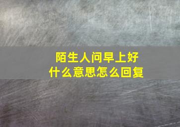 陌生人问早上好什么意思怎么回复