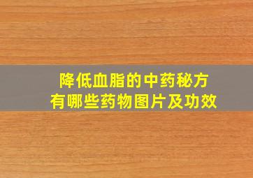 降低血脂的中药秘方有哪些药物图片及功效