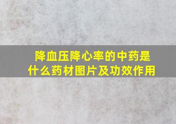 降血压降心率的中药是什么药材图片及功效作用