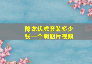 降龙伏虎套装多少钱一个啊图片视频