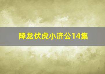 降龙伏虎小济公14集