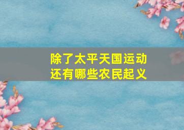 除了太平天国运动还有哪些农民起义