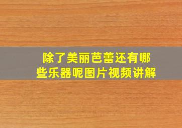 除了美丽芭蕾还有哪些乐器呢图片视频讲解