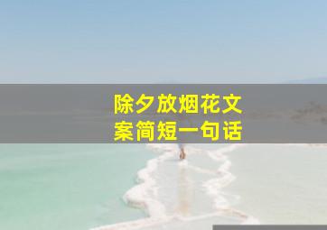 除夕放烟花文案简短一句话