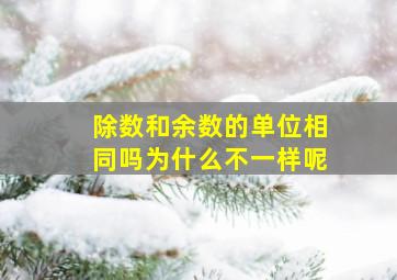 除数和余数的单位相同吗为什么不一样呢