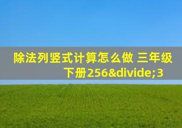 除法列竖式计算怎么做 三年级下册256÷3