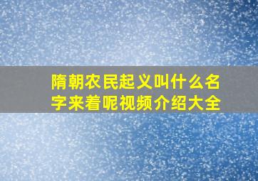 隋朝农民起义叫什么名字来着呢视频介绍大全