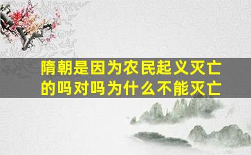 隋朝是因为农民起义灭亡的吗对吗为什么不能灭亡