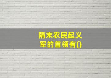 隋末农民起义军的首领有()