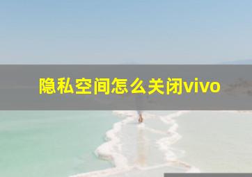 隐私空间怎么关闭vivo