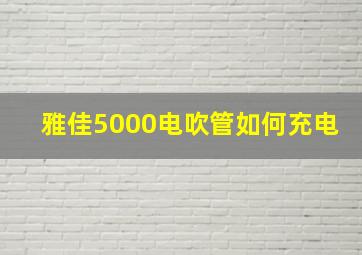 雅佳5000电吹管如何充电