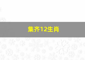 集齐12生肖