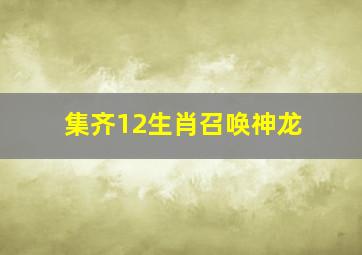 集齐12生肖召唤神龙