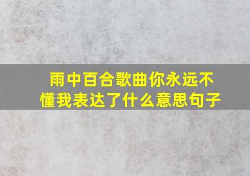 雨中百合歌曲你永远不懂我表达了什么意思句子