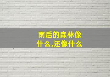 雨后的森林像什么,还像什么