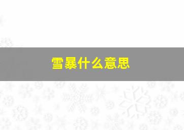 雪暴什么意思