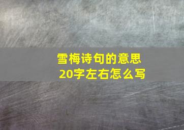 雪梅诗句的意思20字左右怎么写