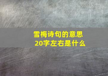 雪梅诗句的意思20字左右是什么