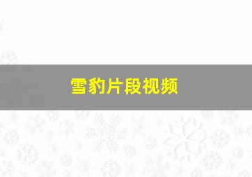 雪豹片段视频