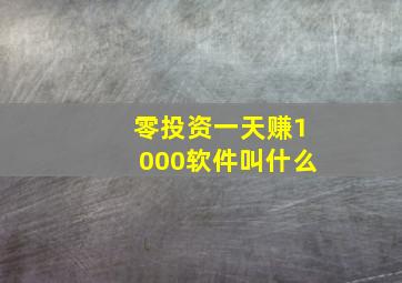 零投资一天赚1000软件叫什么