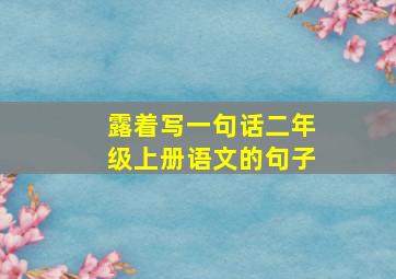 露着写一句话二年级上册语文的句子