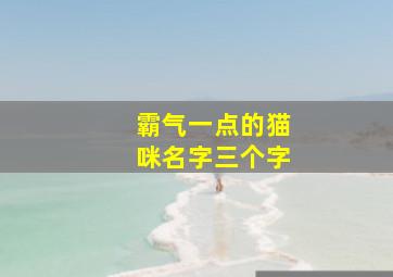 霸气一点的猫咪名字三个字