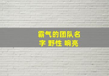 霸气的团队名字 野性 响亮