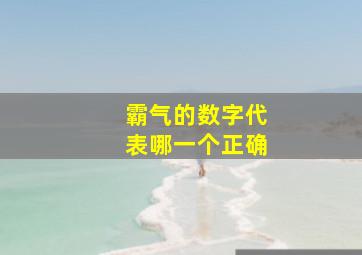 霸气的数字代表哪一个正确